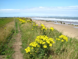 Fraisthorpe Beach