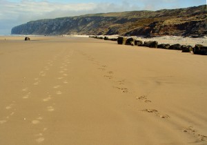 Speeton sands