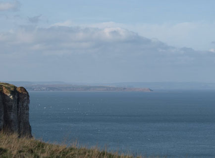 Bempton cliffs