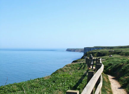 Bempton Cliffs RSPV